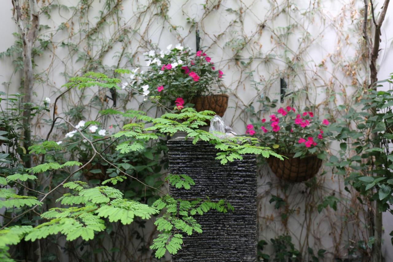 Another World - Montagu Exterior foto
